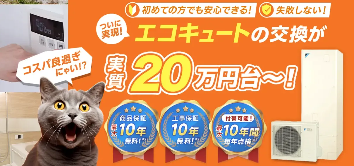 交換パラダイス